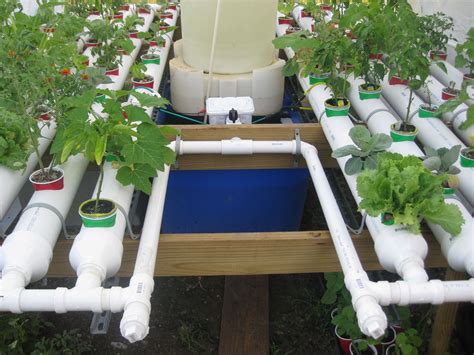 Aquaponic In Your Home Making Aquaponic Garden Home Improvement