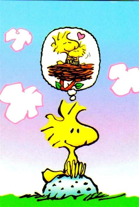 Pin By Gino Cirillo On Snoopy And Woodstock Show Snoopy Pictures