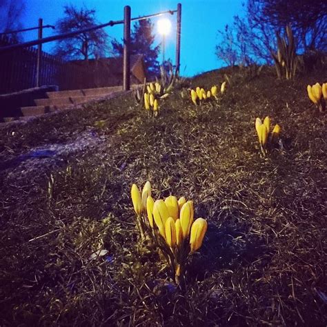 44 objekte auf 7 unterschiedlichen anzeigenmärkten gefunden. Manuel Kresser - StudioCafé on Instagram: "#Abendstimmung ...