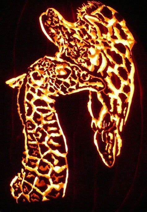This Giraffe Carved Pumpkin Is A Pattern By Carved
