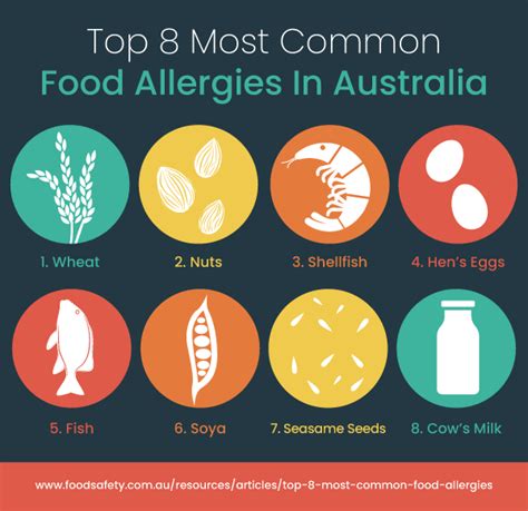 Most Common Food Allergies Design Airco