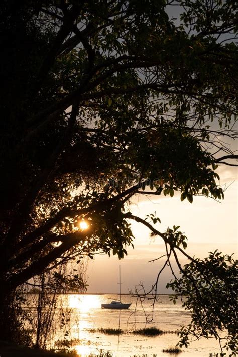 Golden Sunset In Ibera Wetlands Argentina Stock Image Image Of