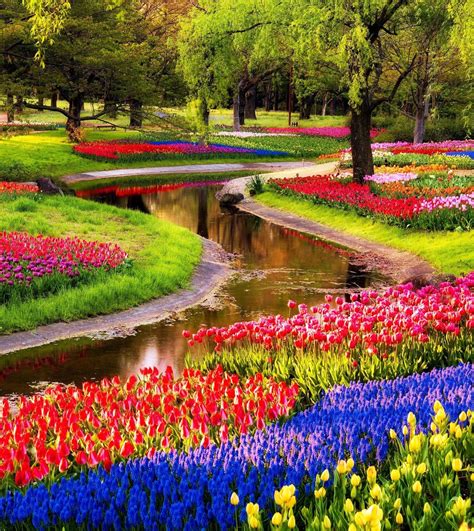 20+ beautiful spring wallpaper spring season of life colors enjoyment love spring 3d hd wallpaper images gif fb timeline cover whatsapp dp profile pic beautiful spring wallpaper. Dynamic Views: Beautiful Spring Wallpaper