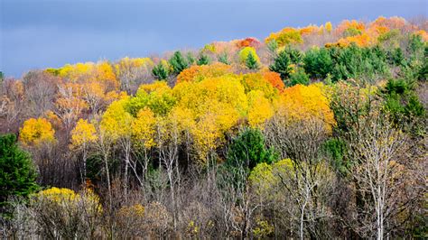 Fall Foliage Bennington Vermont Stock Photo Download Image Now