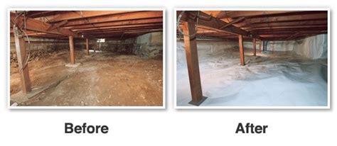 Bugs and animals constantly seek out dark and warm places to live. Tacoma, WA Pest Control - Rats, Mice, Spiders, Wasps, Ants ...