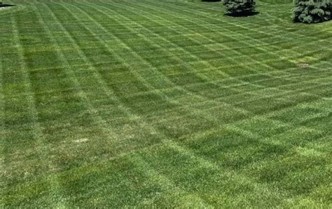 How To Mow Stripes In Your Lawn Like A Ballpark