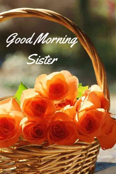 120 Lovely Good Morning Wishes And Greetings For Sister Good Morning Sister Good Morning