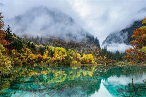 Фотография леса горы итай осень туман озеро краски природа