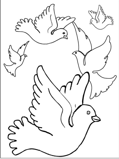 Bird Coloring Pages