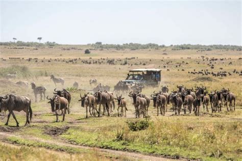 Cultural Practices Of Kenya Discover Africa Safaris