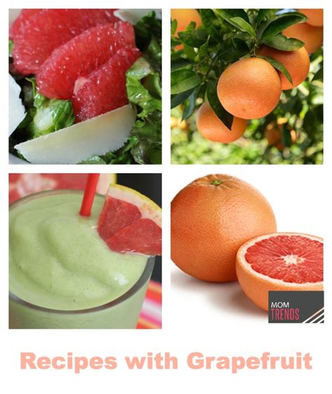 Drain and allow to cool for at least 30 minutes. Recipes with Grapefruit - MomTrendsMomTrends