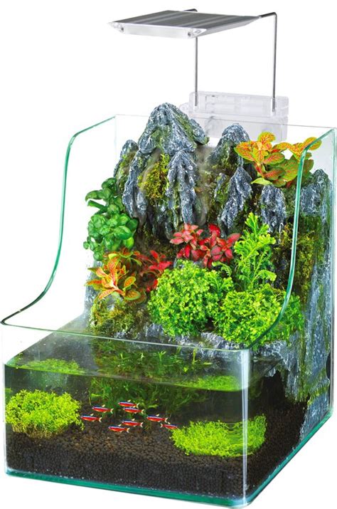 However, with proper maintenance and meticulous care, some keepers still have reported successes with keeping some fish in small 1 gallon tanks. Penn Plax 1 Gallon AquaTerrium™ Aquarium Tank & Reviews ...