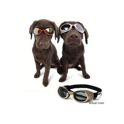 Doggles Protective Eyewear For Dogs Petco