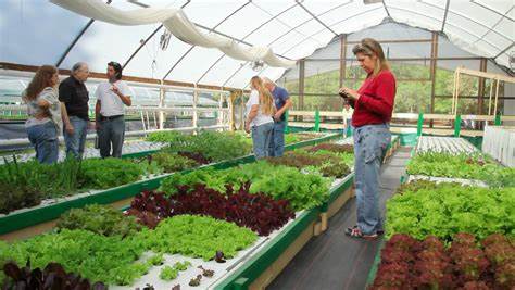 We?ve been thinking a lot about aquaponics and where it fits in with 