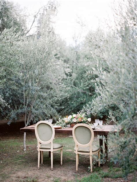 Intimate And Romantic Olive Grove Wedding Ideas By Mallory Dawn