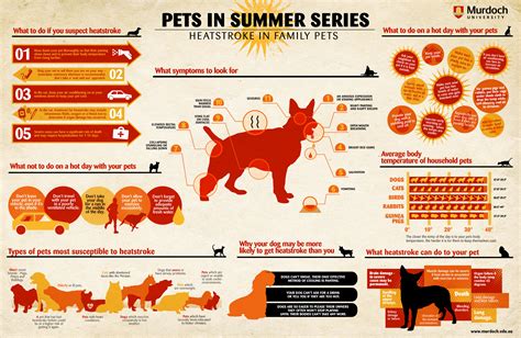 It can be hard to know what to do to help. How Hot is Too Hot? Heat Stress in Pets | MSAH - Metairie ...