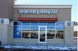 Photos of Veterinary Animal Hospital