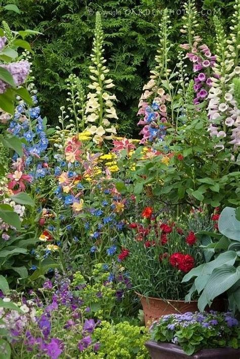 30 Fascinating Cottage Garden Ideas To Create Cozy Private Spot