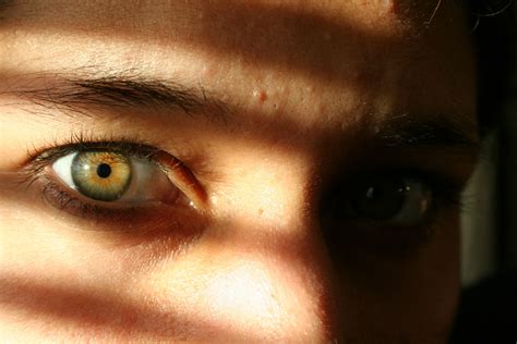 Eyecolour Green Eye Colour A Rare Human Eye Colour Exstensive Info
