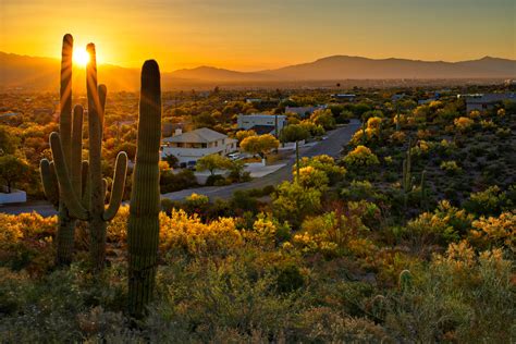 We did not find results for: 15 Best Airbnbs In Tucson, AZ (Cabins, Adobes And More ...