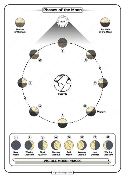 Free Printable Phases Of The Moon Pdf Worksheet Moon For Kids Moon