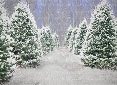Christmas Tree Farm Photography Backdrop For Sale Snow Etsy