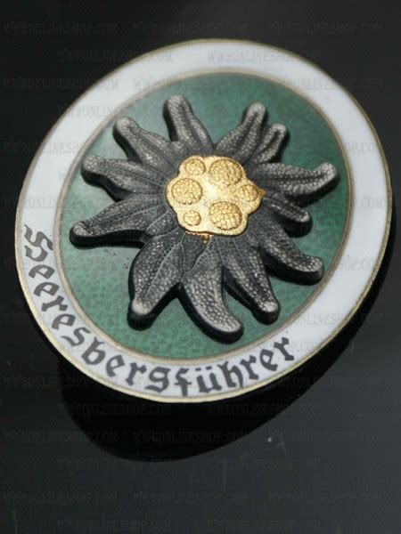 Edelweiss Hat Pin Badge Ww Ii German Mountain Troop Original Ww Ii