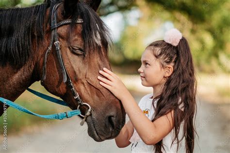 Friendship Of A Child With A Horse A Little Girl Is Affectionately