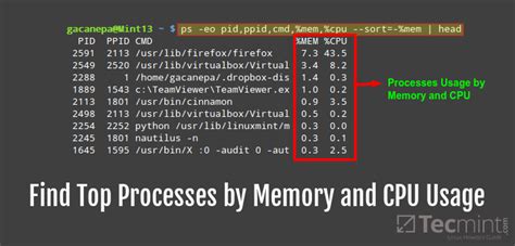 Ram and swap space work closely together. Find Top Running Processes by Highest Memory and CPU Usage ...