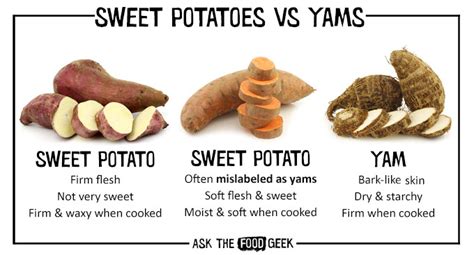 Sweet Potatoes Yams Vs Sweet Potatoes Yam Or Sweet Potato Sweet