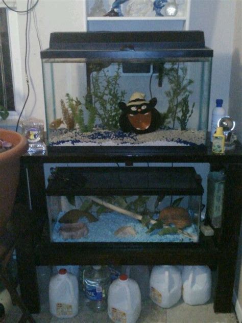 My Hand Made Tank Stand Holds 30 Gal Aquarium And 20 Gal Reptile