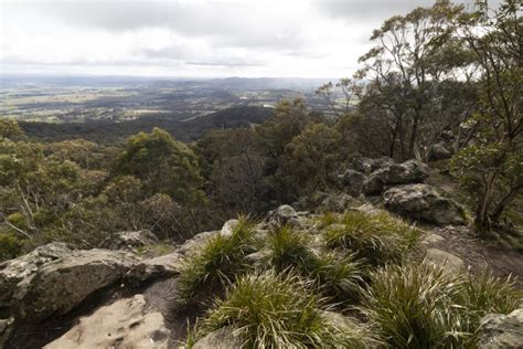 Enjoy afternoon excursion in merzouga for this thrilling and amusing experience on back of the camel. Camels, Llamas and Parmas | Visit Macedon Ranges