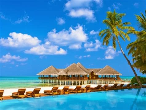 Maldives Tours And Packages Offers From 48 Tour Operators And Local Guides