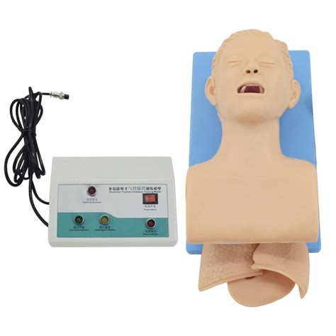 Buy Adult Electronic Human Tracheal Intubation Training Model With