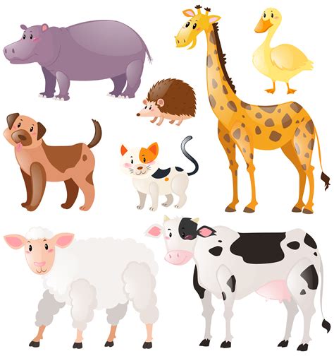 Set of wild animals 370256 Vector Art at Vecteezy