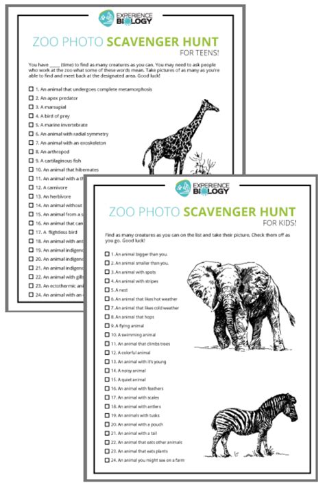 Zoo Photo Scavenger Hunt — for the whole family! | Experience Biology #