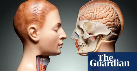 University Subject Profile Anatomy And Physiology University Guide The Guardian