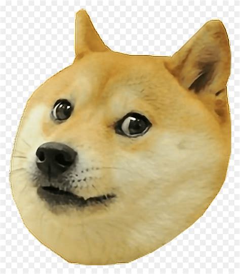 Descargar Png Doge Doggo Freestickers Memes Doggo Meme Mascota Animal