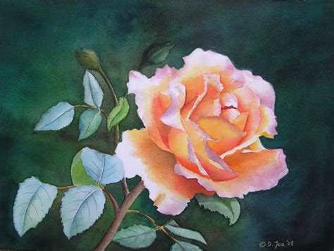 Deep orange Rose with yellow in Watercolor - Realistic Rose painting, Realistic watercolor