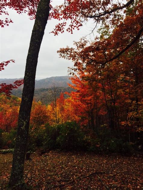View From Pine Mountain State Resort Park October 25 2015 Mountain