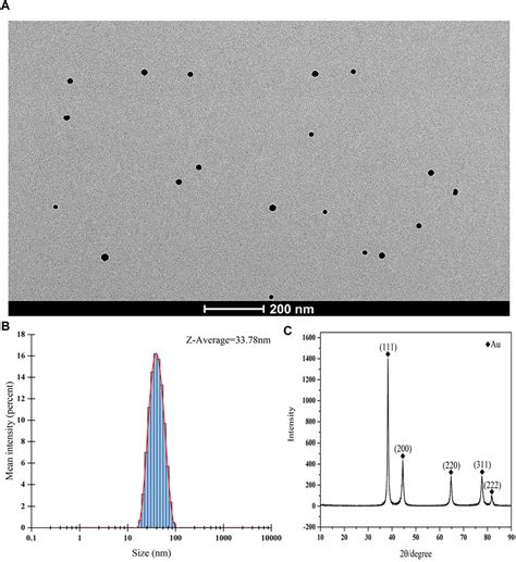 Frontiers Development Of A Colloidal Gold Immunochromatographic Strip