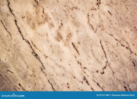 Granite Stone With Veins Stock Photo Image Of Grungy 92121384