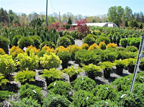 The 30 Best Garden And Landscaping Centers In New Jersey Amazing