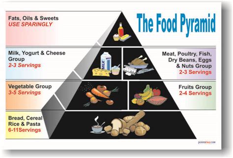 You can give them poster . Food Pyramid Healthy Eating Lunch Meal Diet NEW POSTER ...