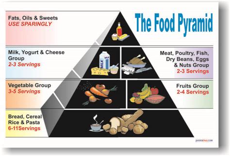 Plants also have high levels of dopamine and serotonin which can help boost levels in the human bloodstream creating feelings of peace and happiness. Food Pyramid Healthy Eating Lunch Meal Diet NEW POSTER ...