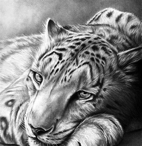 Top Pencil Drawings