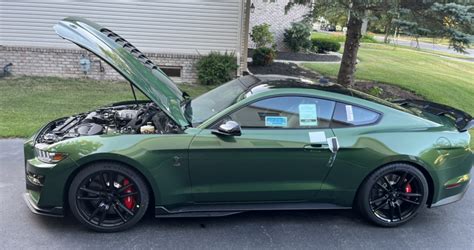 Eruption Green Gt500 Delivery