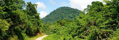 Kalimantan In Indonesië Complete Reisgids Backpackeninaziënl