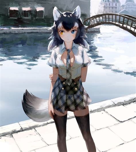 she is grey wolf from kemono friends anime wolf girl girls anime manga girl anime art girl