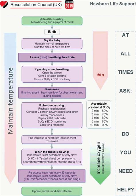 Resuscitation Of The Baby At Birth Obgyn Key